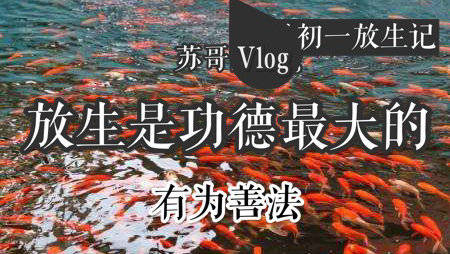 扬名天下水当先“九游官网”(图1) 九游官网